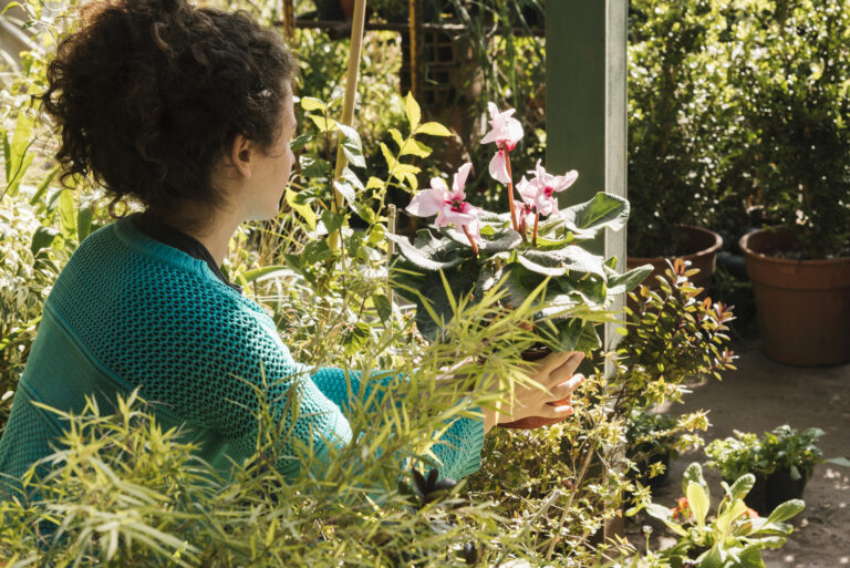 Tendances actuelle du paysagisme durable : vers des jardins résilients