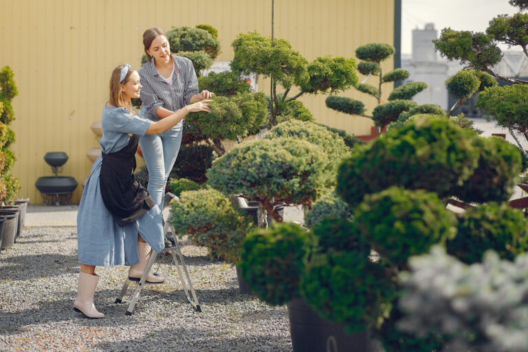 Tendances Paysagistes Octobre 2025 : Jardins Écologiques et Modernes