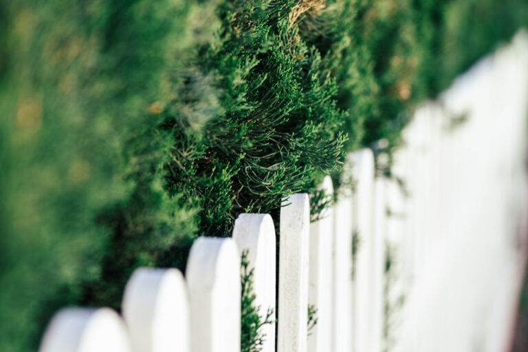 Comment bien choisir sa clôture de jardin ?